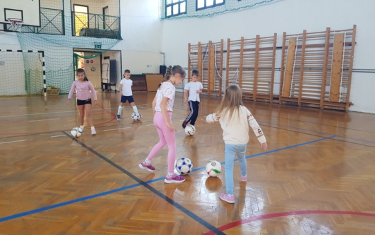 BOZSIK PROGRAM