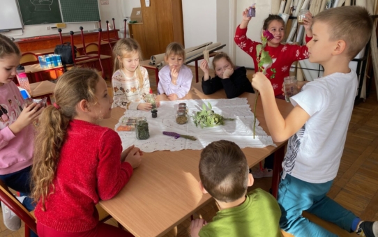 Vadon élő gyógynövények gyűjtése, felhasználása...