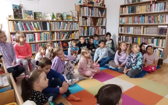 Könyvtári foglalkozás
