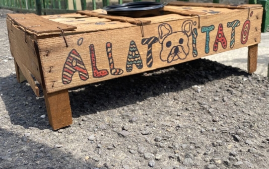 Állatitató kihelyezése...