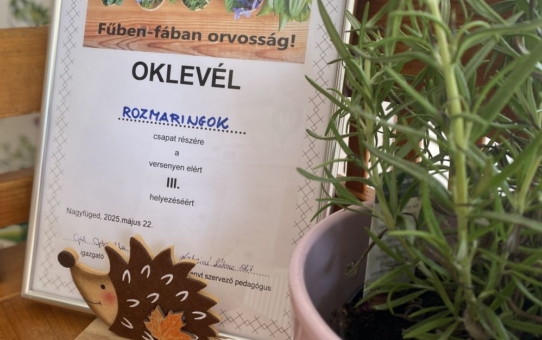 Gyógynövényeink